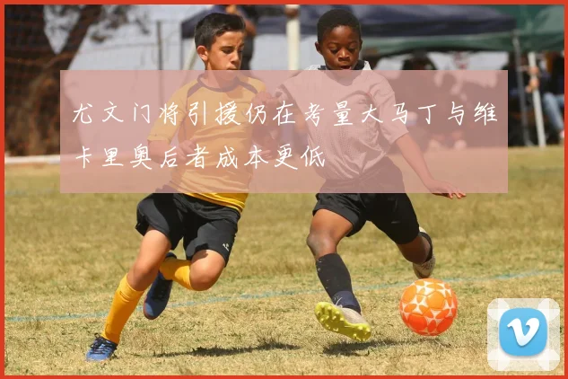 尤文门将引援仍在考量大马丁与维卡里奥后者成本更低